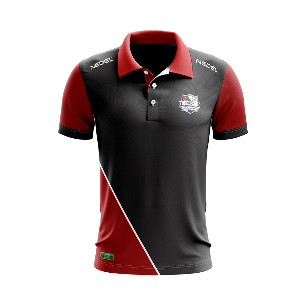 camisa polo masculina (1)